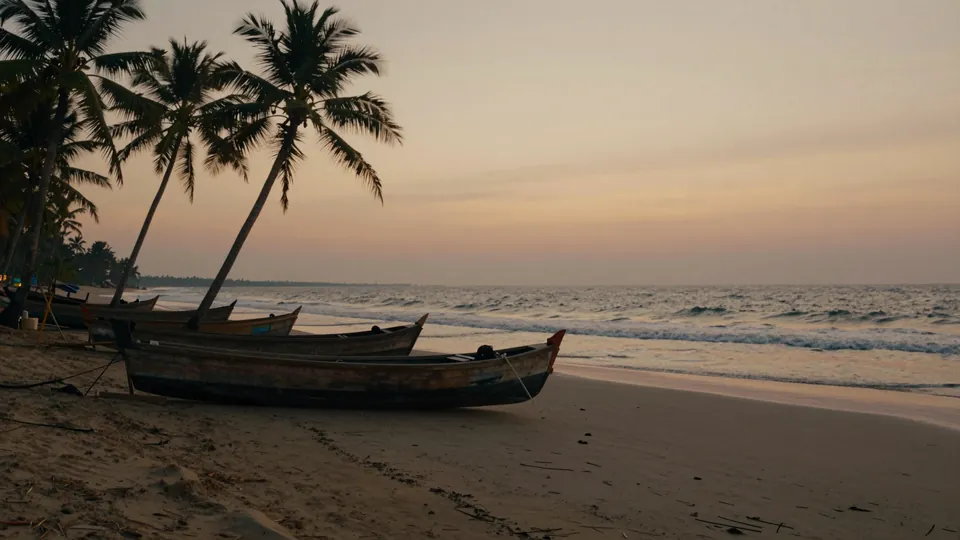 Ilustração: barcos de pesca de madeira numa praia da costa do Malabar, em Kerala, com coqueiros ao entardecer